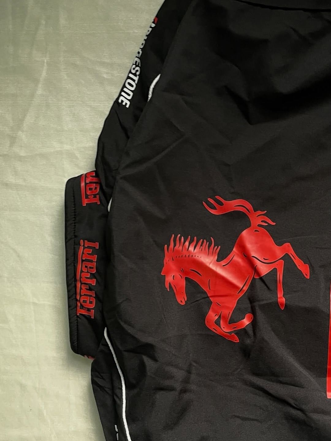Ferrari F1 racing jacket in black-Elexwear.